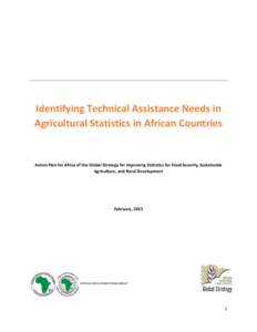 Identifying Technical Assistance Needs in Agricultural Statistics in African Countries Action Plan for Africa of the Global Strategy for improving Statistics for Food Security, Sustainable Agriculture, and Rural Developm