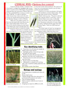 CEREAL RYE: Options for control Cereal rye (Secale cereale), a member of the Grass family, is a class-C by complaint only noxious weed in Lincoln County, Washington. Rye probably originated from the mountains of North Af