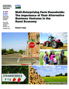 Multi-Enterprising Farm Households: The Importance of Their Alternative Business Ventures in the Rural Economy