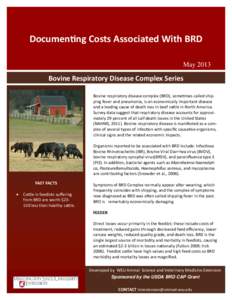 costs associated with BRD in your herd