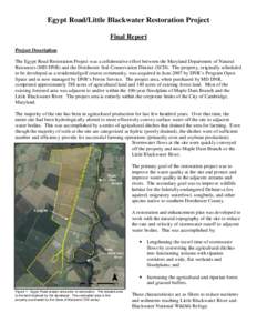 Aquatic ecology / Wetland / Riparian zone / Carleton College Cowling Arboretum / Water / Environment / Ecology