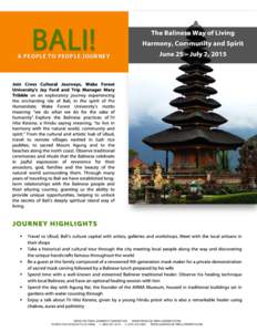 BALI!  A PEOPLE TO PEOPLE JOURNEY  