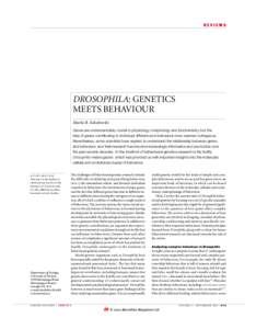 Drosophilidae / Neuroscience / Behavioural genetics / Seymour Benzer / Period / Drosophila melanogaster / CLOCK / Genetic screen / Drosophila / Biology / Genetics / Classical genetics