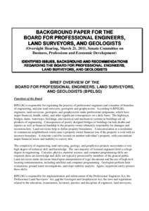 BPELSG Final Background Paper for 2011