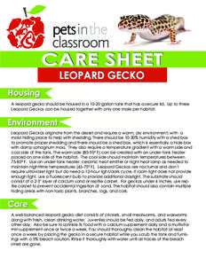 PIC care sheet Leopard Gecko