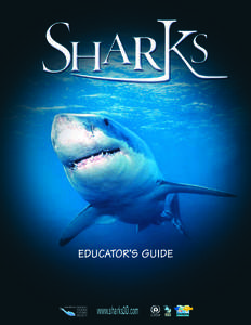 Sharks-Educator's Guide