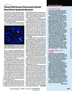 Influenza / Animal virology / Epidemiology / Pandemics / Influenza A virus subtype H3N2 / Influenza pandemic / Influenza A virus subtype H5N1 / Human genome / Chromosome 21 / Biology / Genetics / Health