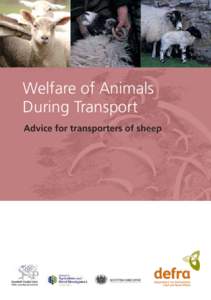 Welfare of Animals During Transport Advice for transporters of sheep Further copies of this leaﬂet, and others in the series, are available free of charge from: