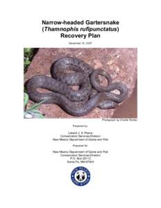 Thamnophis / Fauna of Canada / Garter snake / Thamnophis rufipunctatus / Glossy snake / Snake / Squamata / Herpetology / Fauna of the United States