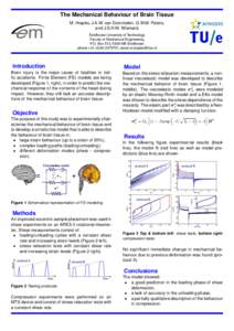 The Mechanical Behaviour of Brain Tissue M. Hrapko, J.A.W. van Dommelen, G.W.M. Peters, and J.S.H.M. Wismans Eindhoven University of Technology Faculty of Mechanical Engineering P.O. Box 513, 5600 MB Eindhoven