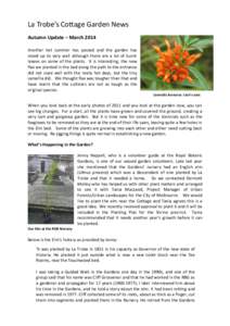 Botany / Flora of Italy / Flora of Turkey / Biota / Elm / Ulmus procera / Fitzroy Gardens / Gardening / Ulmaceae / Flora / Ornamental trees