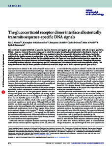 articles  The glucocorticoid receptor dimer interface allosterically transmits sequence-specific DNA signals  npg