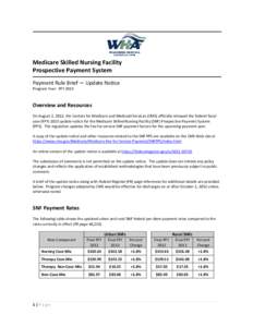 Microsoft Word - SNF UN 2013 Payment Rule Brief v1.doc