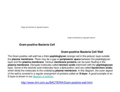 Image removed due to copyright reasons.  Image removed due to copyright reasons. Gram-positive Bacteria Cell Gram-positive Bacteria Cell Wall