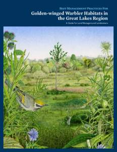 Best Management Practices For  Golden-winged Warbler Habitats in the Great Lakes Region A Guide for Land Managers and Landowners