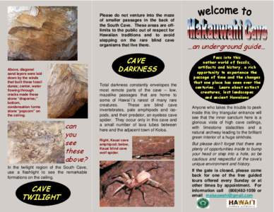 Flowstone / Geomorphology / Show caves / Caves of Maryland / Makauwahi Cave / Physical geography / Cave / Coastal geography