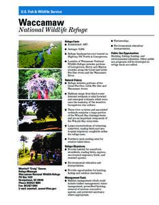 U.S. Fish & Wildlife Service  Waccamaw National Wildlife Refuge