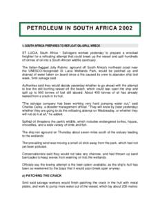 Microsoft Word - Sudafrica ingles 2002.doc