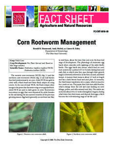 FACT SHEET Agriculture and Natural Resources FC-ENT[removed]Corn Rootworm Management