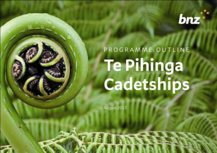 BNZ - Te Pihinga Cadetships – Programme Outline