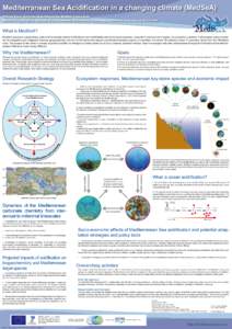 Mediterranean Sea Acidification in a changing climate (MedSeA) Patrizia Ziveri, Rahiman Abdullah and the MedSeA Consortium MedSeA Project Office, Institute of Environmental Science and Technology, Universitat Autònoma d