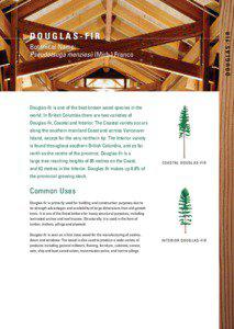 Coast of British Columbia / Wood / Composite materials / Building materials / Lumber / Pseudotsuga menziesii / Fir / Plywood / Douglas-fir / Flora of the United States / Forestry / Flora