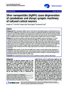 The Brugada syndrome mutation A39V does not affect surface expression of neuronal rat Cav1.2 channels