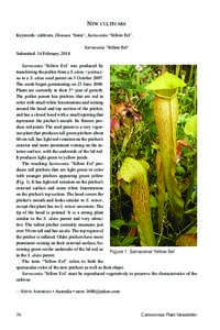 New cultivars Keywords: cultivars, Dionaea ‘Sonic’, Sarracenia ‘Yellow Eel’. Sarracenia ‘Yellow Eel’ Submitted: 16 February 2014 Sarracenia ‘Yellow Eel’ was produced by transferring the pollen from a S. a