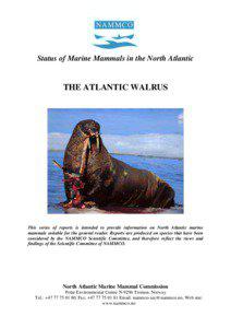 Status of Marine Mammals in the North Atlantic  THE ATLANTIC WALRUS