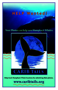 HELP Wanted!  Your Photos can help save Humpback Whales. CARIB Tails Help track Humpback Whale locations by submitting fluke photos.
