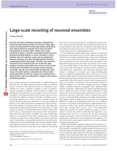 © 2004 Nature Publishing Group http://www.nature.com/natureneuroscience  PERSPECTIVE SCALING UP NEUROSCIENCE