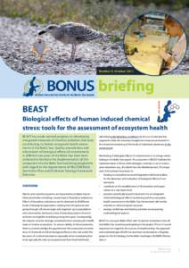 Number 9, October[removed]briefing BEAST Biological effects of human induced chemical stress: tools for the assessment of ecosystem health