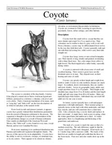 Wildlife Notebook Series No. 19  Utah Division of Wildlife Resources Coyote