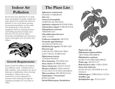 Indoor Air Pollution We all know how important it is to help clean and maintain air quality outside; but many people don’t realize that indoor air pollution is one of the fastest growing