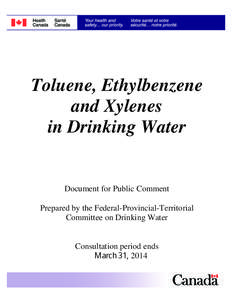 Toluene, Ethylbenzene and Xylenes in Drinking Water Document for Public Comment Prepared by the Federal-Provincial-Territorial