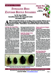 ARTICLE TWELVE  STINGLESS BEES ENTOMB BEETLE INVADERS  Aussie Bee