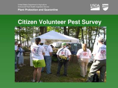 United States Department of Agriculture Animal and Plant Health Inspection Service Plant Protection and Quarantine  Citizen Volunteer Pest Survey