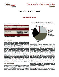 Executive Case Summary Series june 2008 boston college emerging strategy