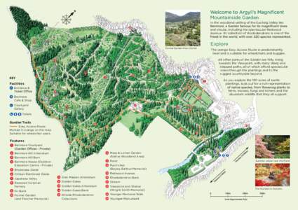 Mountainside Garden In the woodland setting of the Eachaig Valley lies and shrubs, including the spectacular Redwood Avenue. Its collection of rhododendrons is one of the  Formal Garden from the hill.