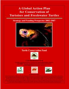 Sea turtles / Cuora / Endangered species / Chelonian Conservation and Biology / Turtle / Green sea turtle / IUCN Species Survival Commission / Tortoise / Amboina box turtle / Cryptodira / Fauna of Asia / Herpetology