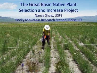 The Great Basin Native Plant Selection and Increase Project Nancy Shaw, USFS Rocky Mountain Research Station, Boise, ID  FEDERAL INTERAGENCY NATIVE PLANT