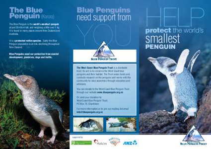 The Blue Penguin (Korora) The Blue Penguin is the world’s smallest penguin at just 35-43cm tall, and weighing a little over 1 kg. It is found in many places around New Zealand and Australia.