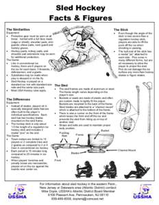 Sled Hockey Facts & Figures The Similarities The Stick