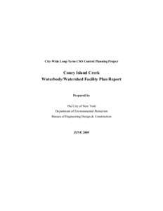 City-Wide Long-Term CSO Control Planning Project  Coney Island Creek Waterbody/Watershed Facility Plan Report  Prepared by