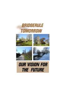 Bridgerule Parish Plan Introduction from the Chairman of the Parish Plan Steering Group. We are pleased to be able to publish the Bridgerule Parish Plan. I hope you will agree that this makes interesting and informative