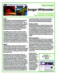 Case Study  The National e-Commerce Extension Initiative Songer Whitewater Fayetteville, West Virginia