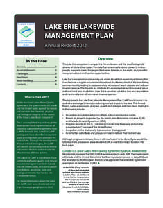 Geography of North America / Great Lakes / Environment of Canada / Saint Lawrence Seaway / Lake Erie / Lake Erie Basin / Maumee River / Detroit River / Asian carp / Geography of Canada / Geography of the United States / Canada–United States border