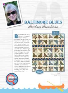 Digital Quilt Model! B  altimore Blues pays