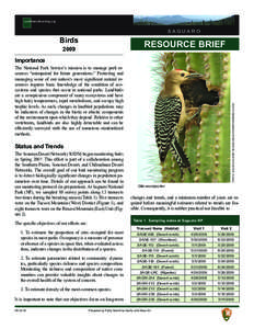 southwestlearning.org  Saguaro Birds