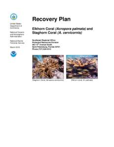 Recovery Plan United States Department of Commerce National Oceanic and Atmospheric
